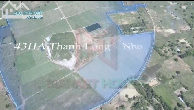 43 hecta đất trang trại công nghệ cao xã Hồng Liêm Huyện Hàm Thuận Bắc Bình Thuận 85 tỷ