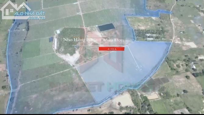 43 hecta đất trang trại công nghệ cao xã Hồng Liêm Huyện Hàm Thuận Bắc Bình Thuận 85 tỷ - 5