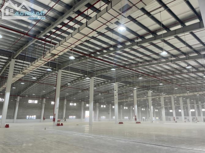 Cho thuê 3000m2 có cắt tại thị trấn Văn Giang - 2