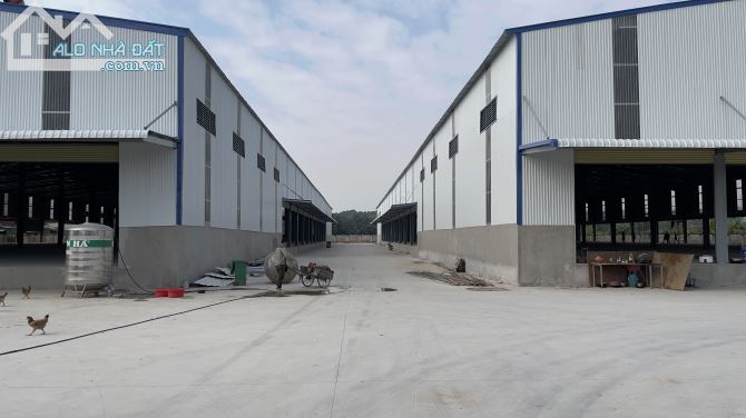 CTY CHO THUÊ 5.900m2 KHO XƯỞNG PCCC NHIỆM THU TẠI PHÚ THỊ,GIA LÂM,HÀ NỘI - 2