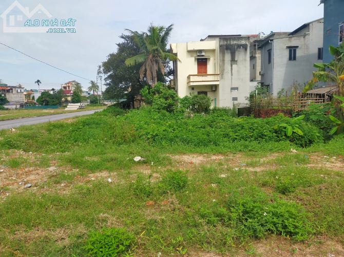 Bán lô đất tái định cư MB 3037 Ven Sông Hạc, Phường Đông Thọ, Thành phố Thanh Hóa 88.7m2