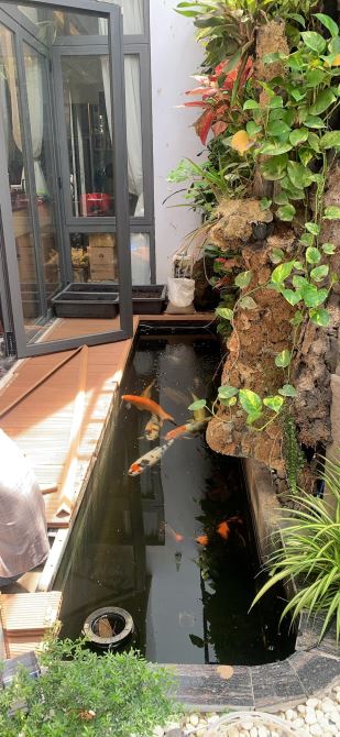 KHU LÃNH ĐẠO NHÀ NƯỚC. TRUNG TÂM QUẬN 3, SIÊU VILLA NGAY TÚ XƯƠNG, 144M2 BỀ THẾ, CHỈ 55T - 4