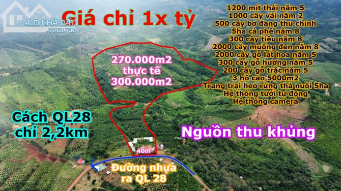 Bán 27ha giá bèo nhèo, cách Gia Nghĩa 15km, hệ sinh thái đa dạng,nguồn thu khủng