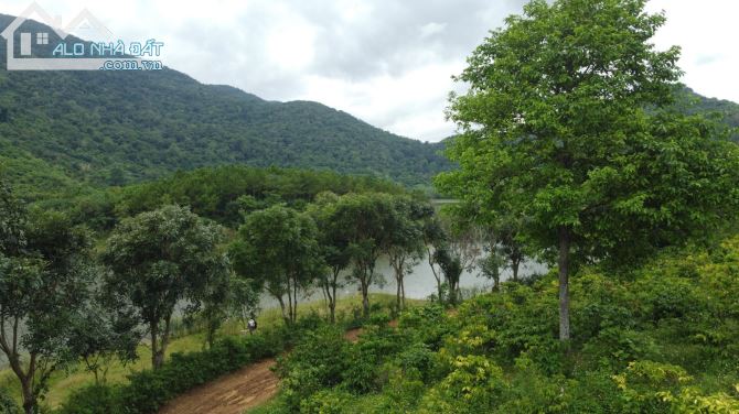 BÁN LÔ ĐẤT 6000M2 VIEW HỒ XÃ HOÀ LỄ KRONG BÔNG - 2