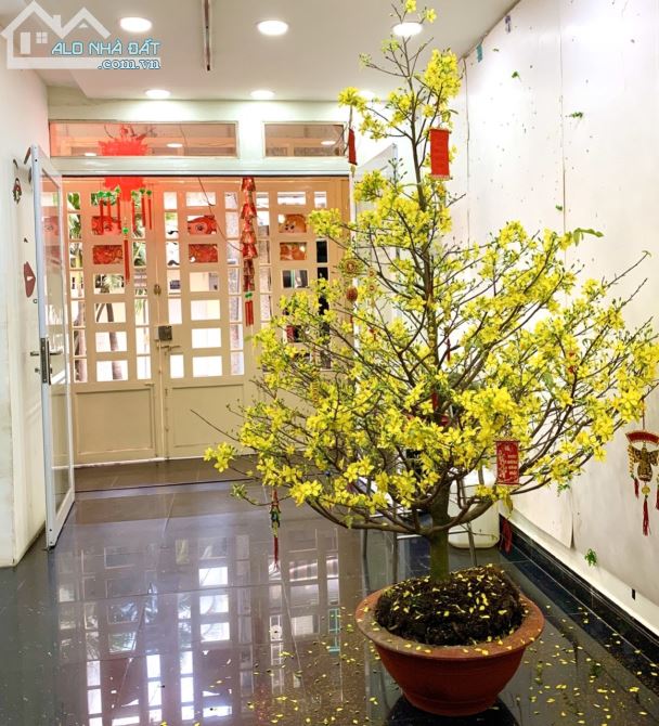 Bán nhà hẻm xe hơi đường Nguyễn Đình Chiểu, Q1. DT 4.5x15, Thu nhập 50tr giá 18 tỷ - 1