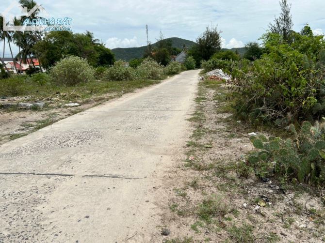 529m2 đất ONT Hoà Thiện 1, Ninh An ngang 12m - 2
