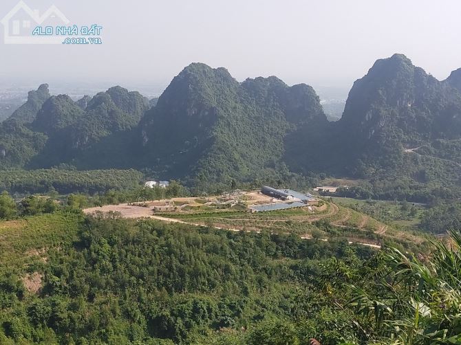 CHỦ NHỜ BÁN 26HA RSX TẠI LIÊN SƠN LƯƠNG SƠN TRỒNG FULL CÂY ĂN QUẢ VIEW CẢ TP