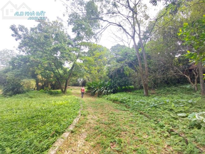 1.x triệu 1m2 ĐẤT NGHỈ DƯỠNG BÁM SUỐI TẠI CƯ YÊN, ĐƯỜNG BÊ TÔNG RỘNG, VIEW THOÁNG ĐẸP - 5