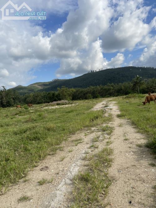 Đất kho xưởng 10.000m2 Hoà Vang - 2