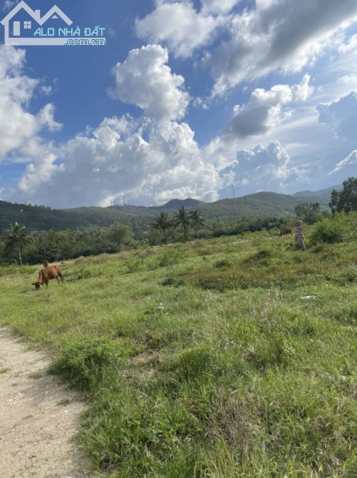 Đất kho xưởng 10.000m2 Hoà Vang - 3