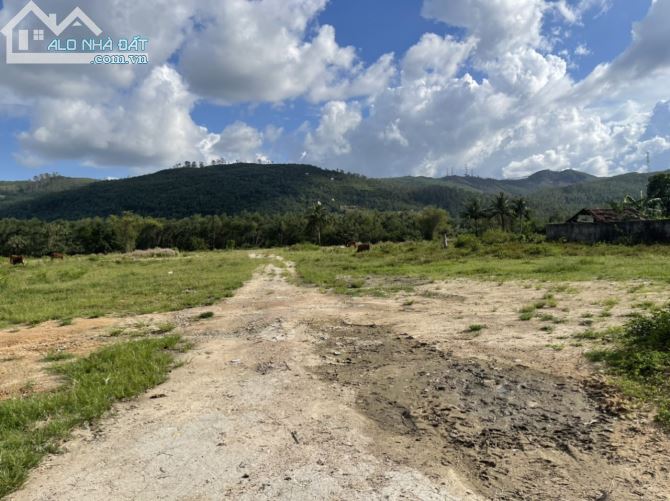 Đất kho xưởng 10.000m2 Hoà Vang - 4