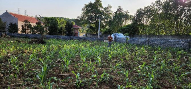 Giá sốc chỉ nhỉnh 3tỷ cho 2019m2 đất thổ cư Hoà Sơn Lương Sơn Hoà Bình - 1