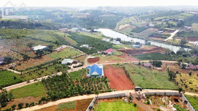 Đất Hồ Ông Dụ mặt tiền đường Tôn Thất Thuyết 2029m2 cần bán gấp giá chỉ 5 tỉ 2 - 2