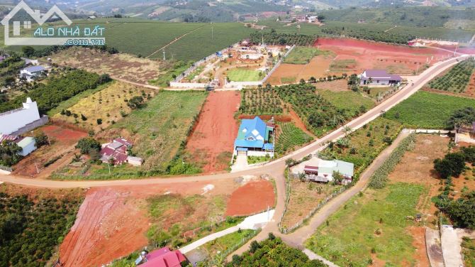 Đất Hồ Ông Dụ mặt tiền đường Tôn Thất Thuyết 2029m2 cần bán gấp giá chỉ 5 tỉ 2 - 4