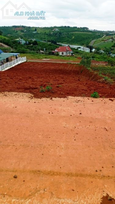 Đất Hồ Ông Dụ mặt tiền đường Tôn Thất Thuyết 2029m2 cần bán gấp giá chỉ 5 tỉ 2 - 5