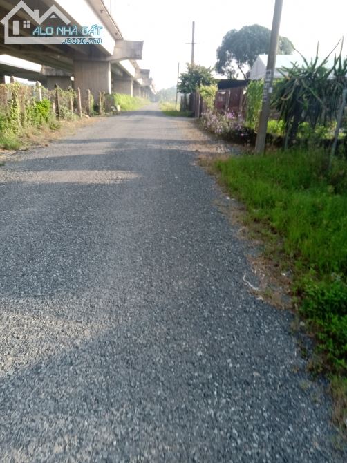 1 công đất lúa, xã Lợi Bình Nhơn, TP Tân An