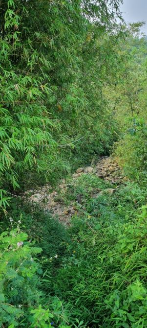 CHUYỂN NHƯỢNG 20HA RSX CÓ SUỐI THÁC TRONG ĐẤT TẠI LƯƠNG SƠN CHỈ NHỈNH 200K/M2