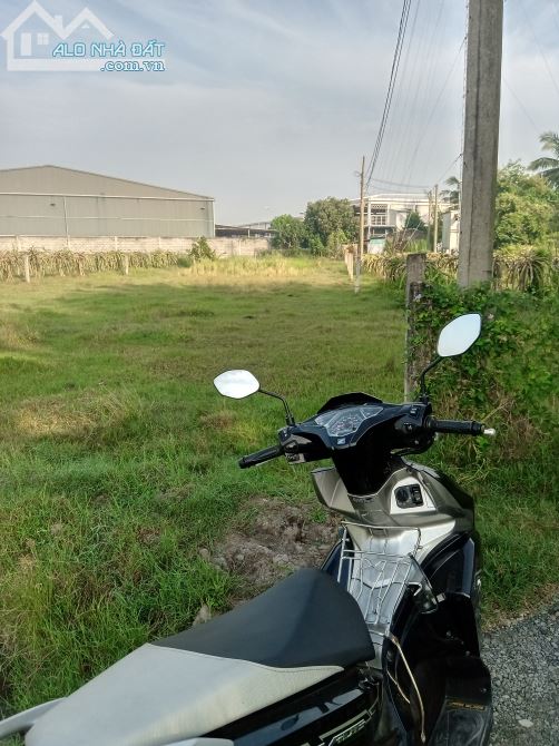 1 công đất lúa, xã Lợi Bình Nhơn, TP Tân An - 1