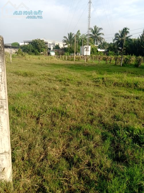 1 công đất lúa, xã Lợi Bình Nhơn, TP Tân An - 2