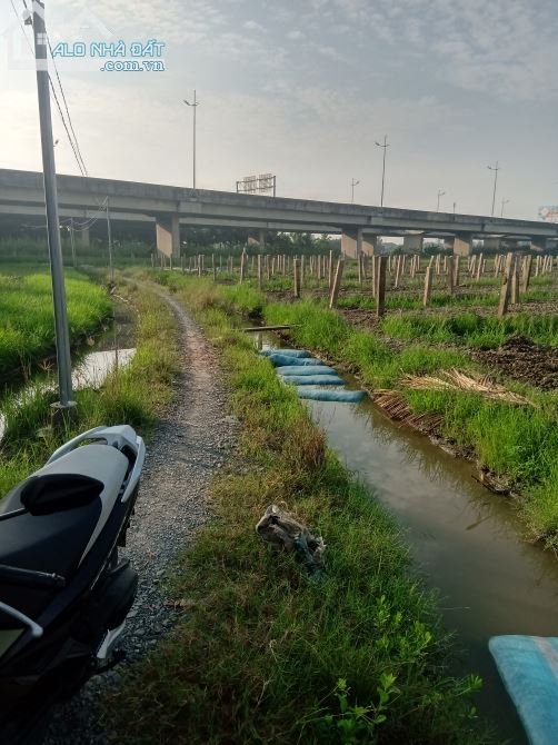 1 công đất lúa, xã Lợi Bình Nhơn, TP Tân An - 3