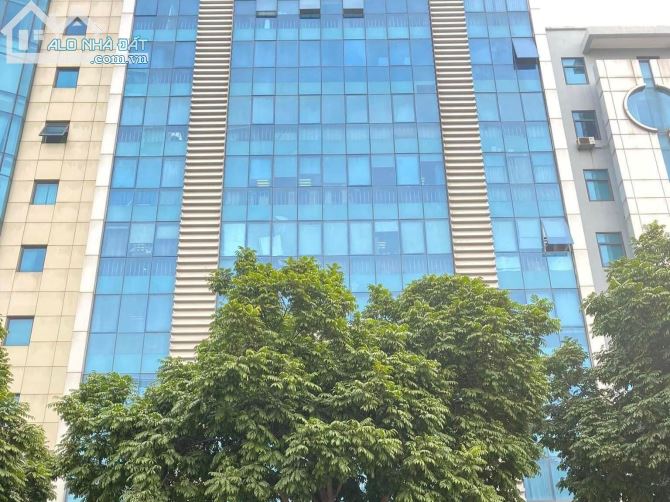 💥 TOÀ BUILDING 7 TẦNG MẶT PHỐ DỊCH VỌNG HẬU, 293M2 MT 35M, LÔ GÓC, GIÁ 220 TỶ 💥
