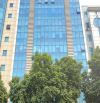 💥 TOÀ BUILDING 7 TẦNG MẶT PHỐ DỊCH VỌNG HẬU, 293M2 MT 35M, LÔ GÓC, GIÁ 220 TỶ 💥