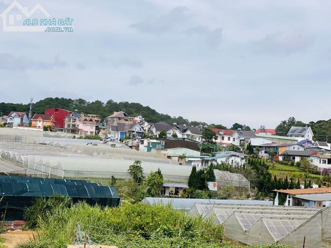 Bán đất view đẹp Ngô Tất Tố, P8, Đà Lạt cách Thung Lũng Tình Yêu 700m, 207m2 giá 7ty5