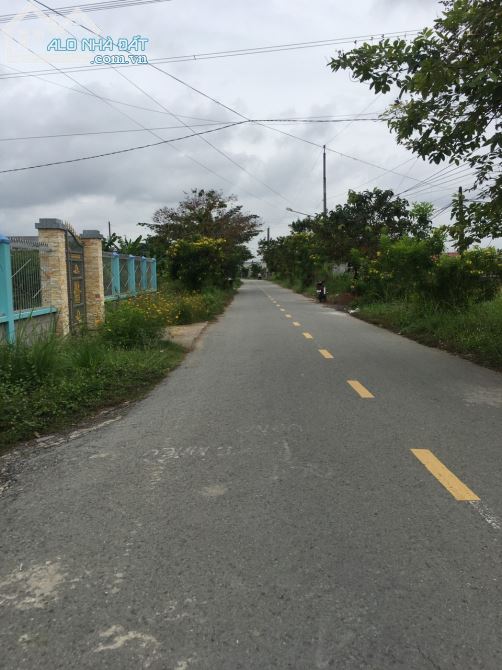 ( 125×130) 16.000m2 Đất lúa 3 mặt tiền lên được fullthổ 29 tỷ Cách QL1A 200m - 2