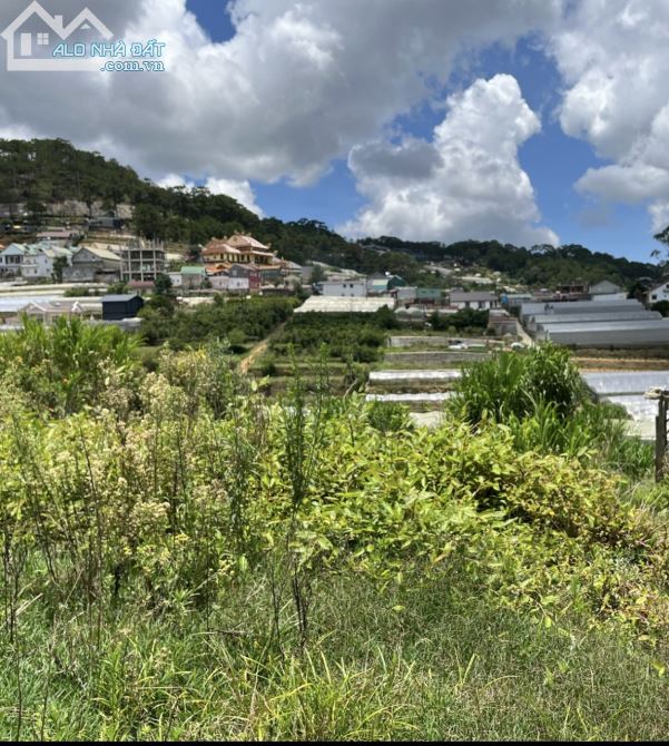 Bán gấp đất view đẹp khu dân cư gần trung tâm Đà Lạt, đi Hồ Xuân Hương hơn 4km