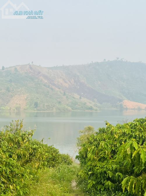 CHÍNH CHỦ CẦN BÁN 5000M2 ĐẤT VIEW HỒ THỦY ĐIỆN PLEI KRÔNG ĐĂK HÀ KONTUM - 1