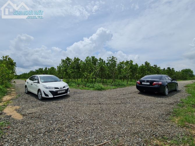 1000 - 2000m2 Đất Thanh Sơn - Định Quán - 2