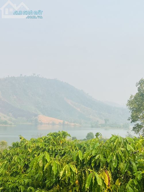 CHÍNH CHỦ CẦN BÁN 5000M2 ĐẤT VIEW HỒ THỦY ĐIỆN PLEI KRÔNG ĐĂK HÀ KONTUM - 3