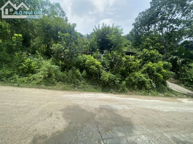 CHUYỂN NHƯỢNG 20HA RSX CÓ 200 THỔ CƯ SUỐI CHẢY TRONG ĐẤT, BÁM ĐƯỜNG BÊ TÔNG TẠI KIM BÔI