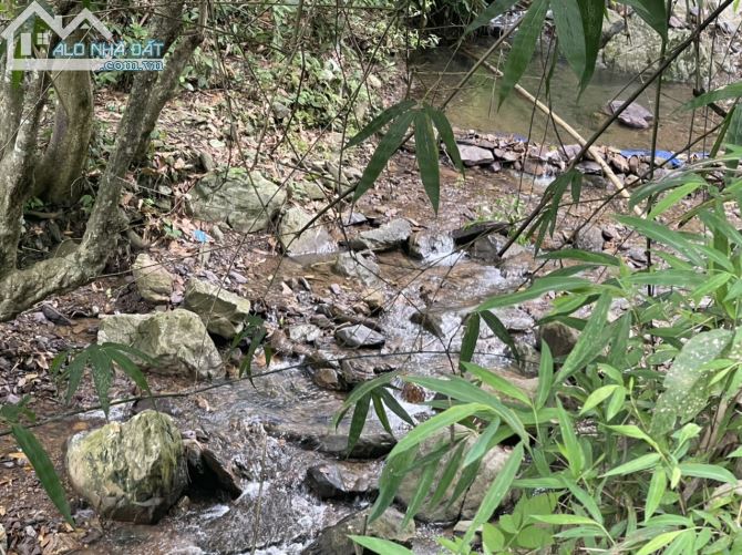 CHUYỂN NHƯỢNG 20HA RSX CÓ 200 THỔ CƯ SUỐI CHẢY TRONG ĐẤT, BÁM ĐƯỜNG BÊ TÔNG TẠI KIM BÔI - 1