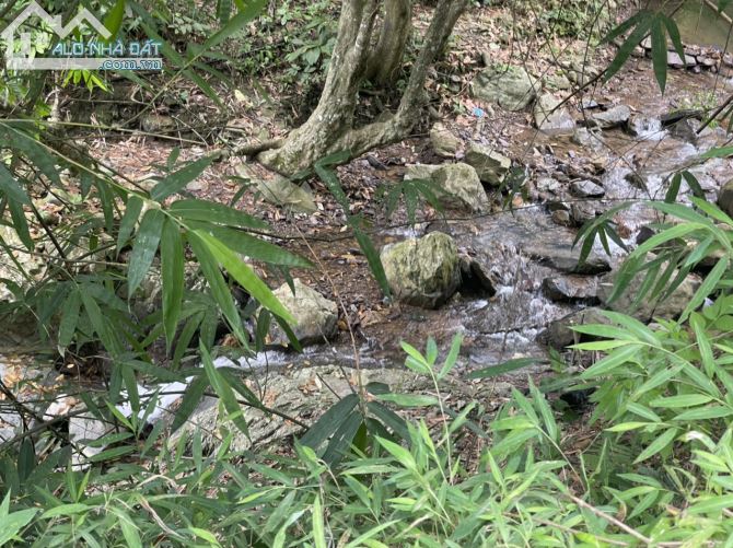 CHUYỂN NHƯỢNG 20HA RSX CÓ 200 THỔ CƯ SUỐI CHẢY TRONG ĐẤT, BÁM ĐƯỜNG BÊ TÔNG TẠI KIM BÔI - 2