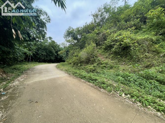 CHUYỂN NHƯỢNG 20HA RSX CÓ 200 THỔ CƯ SUỐI CHẢY TRONG ĐẤT, BÁM ĐƯỜNG BÊ TÔNG TẠI KIM BÔI - 3