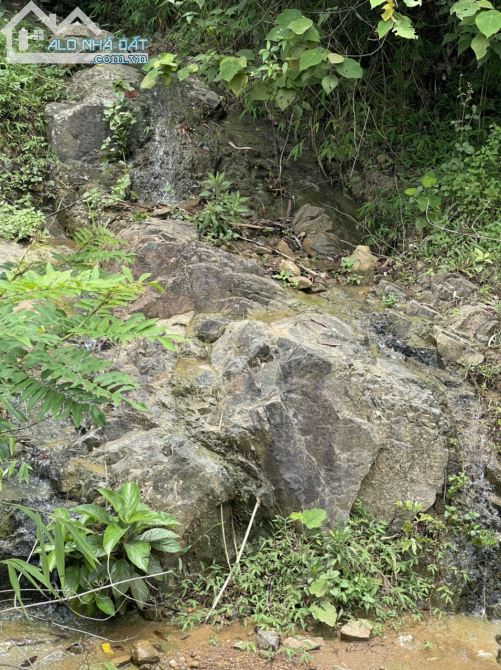 CHUYỂN NHƯỢNG 20HA RSX CÓ 200 THỔ CƯ SUỐI CHẢY TRONG ĐẤT, BÁM ĐƯỜNG BÊ TÔNG TẠI KIM BÔI - 5