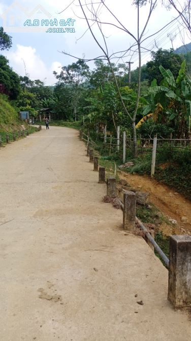 SIÊU PHẨM 1.5HA SUỐI CHẢY GIỮA ĐẤT TẠI KIM BÔI GIÁ NHỈNH 100K/M2