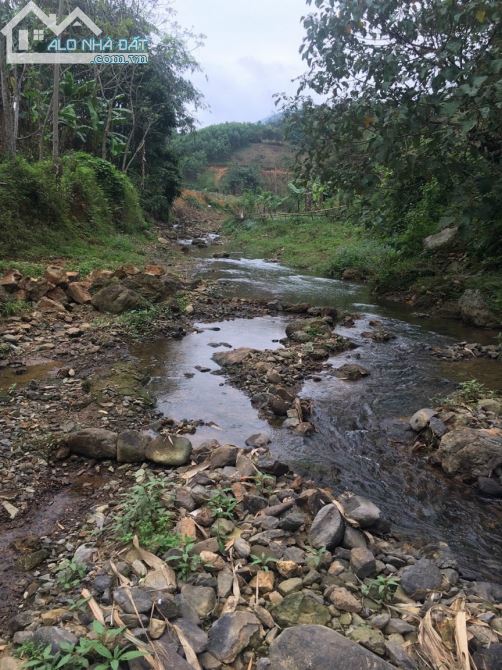 SIÊU PHẨM 1.5HA SUỐI CHẢY GIỮA ĐẤT TẠI KIM BÔI GIÁ NHỈNH 100K/M2 - 1