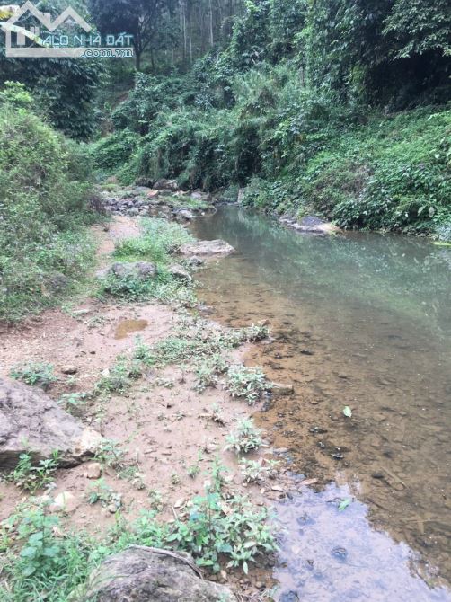 SIÊU PHẨM 1.5HA SUỐI CHẢY GIỮA ĐẤT TẠI KIM BÔI GIÁ NHỈNH 100K/M2 - 2