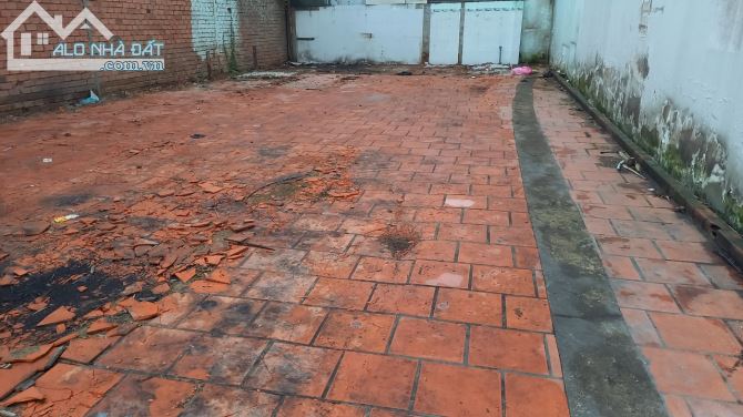 Bán cặp đất MT đường D10, D2D, Thống Nhất 144m2 SHR Full Thổ Cư giá 19,5 tỷ - 3