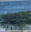 Bán Nhà Thanh Liệt toà văn phòng mặt phố pháp lý full thổ cư 315 m2, 150 tỷ