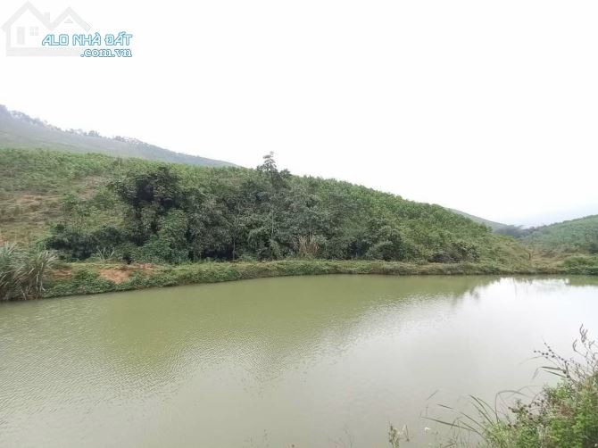 CHUYỂN NHƯỢNG 105HA RSX TẠI NAM THƯỢNG GẦN DỰ ÁN NGHỈ DƯỠNG CỦA CỦA TẬP ĐOÀN IDJ