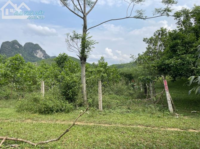 SIÊU PHẨM BÁM SÔNG BÔI 6262M2 TẠI KIM BÔI GẦN DỰ ÁN NGHỈ DƯỠNG CỦA SUN GROUP - 3