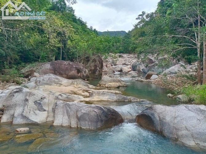 50 hecta giá chỉ 50triệu/hecta đất rừng có sổ sẵn công chứng ngay, Ở giữa có suối lớn chảy