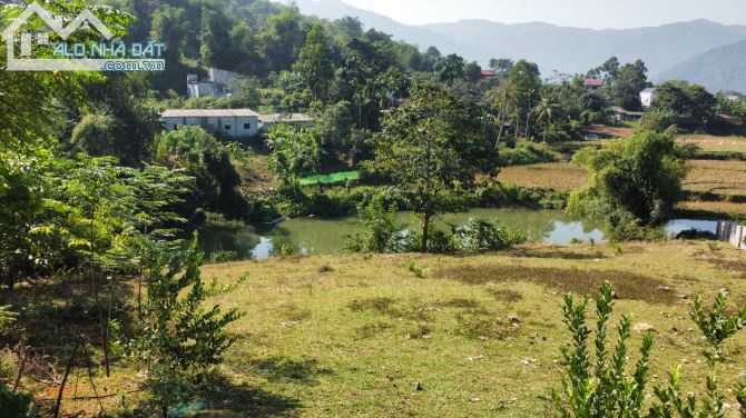 SIÊU PHẨM BÁM SUỐI CÁCH TT THỊ TRẤN BO KIM BÔI CHỈ 1KM GIÁ CHỈ 1.X TR/M2 - 2