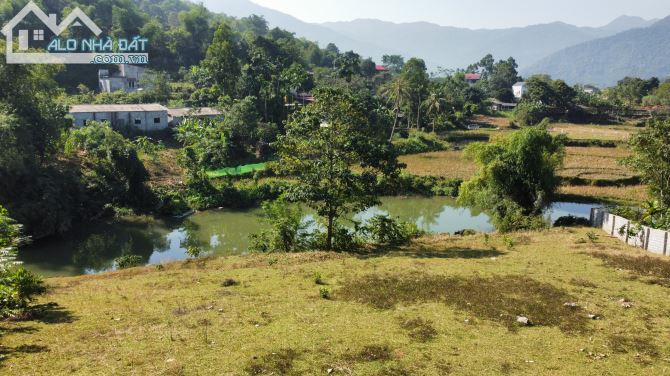 SIÊU PHẨM BÁM SUỐI CÁCH TT THỊ TRẤN BO KIM BÔI CHỈ 1KM GIÁ CHỈ 1.X TR/M2 - 4