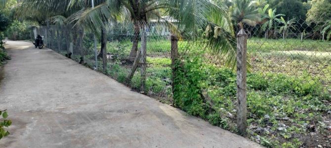 2 Lô đất liền kề (có bán lẻ) Tại An Sơn 32, Thuận An, Cách Đường Vành Đai 3 chỉ 300m - 1