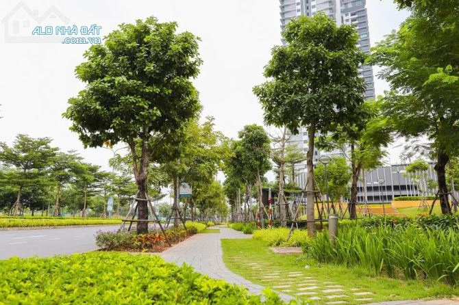 BÁN MẢNH ĐẤT VÀNG SIÊU HIẾM – NGUYỄN THỊ ĐỊNH - TRUNG TÂM CẦU GIẤY CÓ 102 - 1