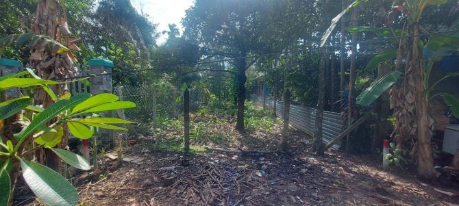 Lô đất 246m2 mặt tiền đường Thạnh Quý, An Thạnh, Vị trí kinh doanh cực tốt - 1
